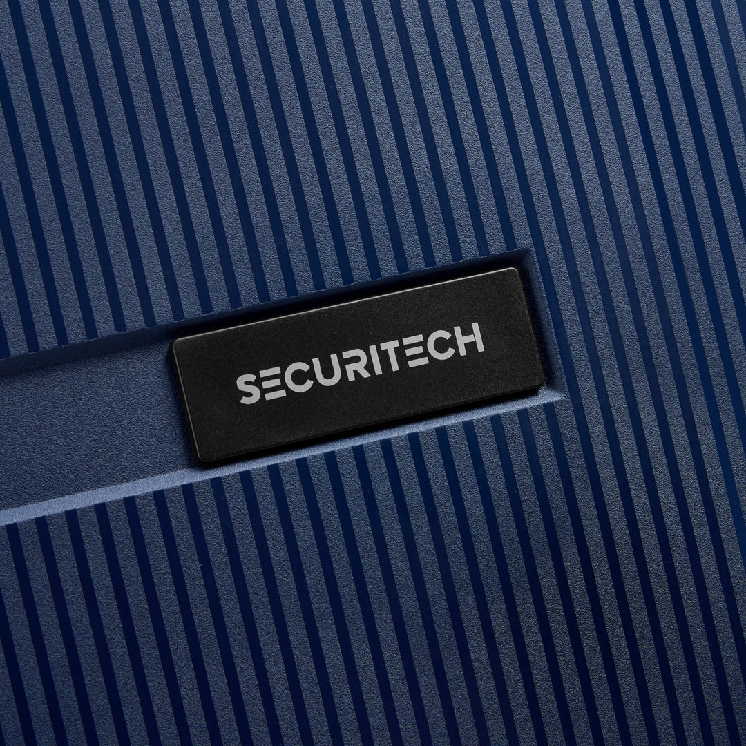 (SECURITECH BY DELSEY) 스톤 / STONE 수화물 캐리어