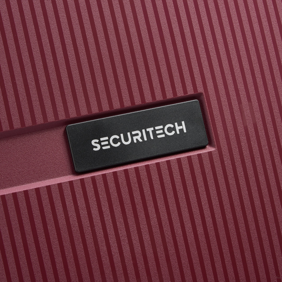 (SECURITECH BY DELSEY) 스톤 / STONE 수화물 캐리어