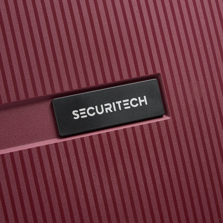 (SECURITECH BY DELSEY) 스톤 / STONE 수화물 캐리어