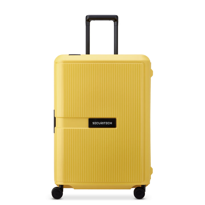 (SECURITECH BY DELSEY) 스톤 / STONE 수화물 캐리어