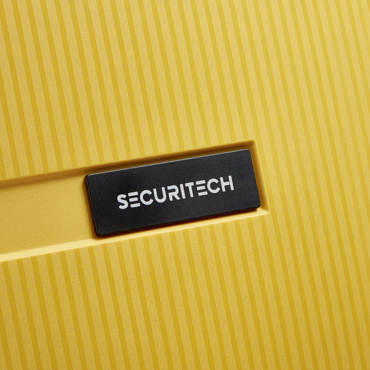 (SECURITECH BY DELSEY) 스톤 / STONE 수화물 캐리어