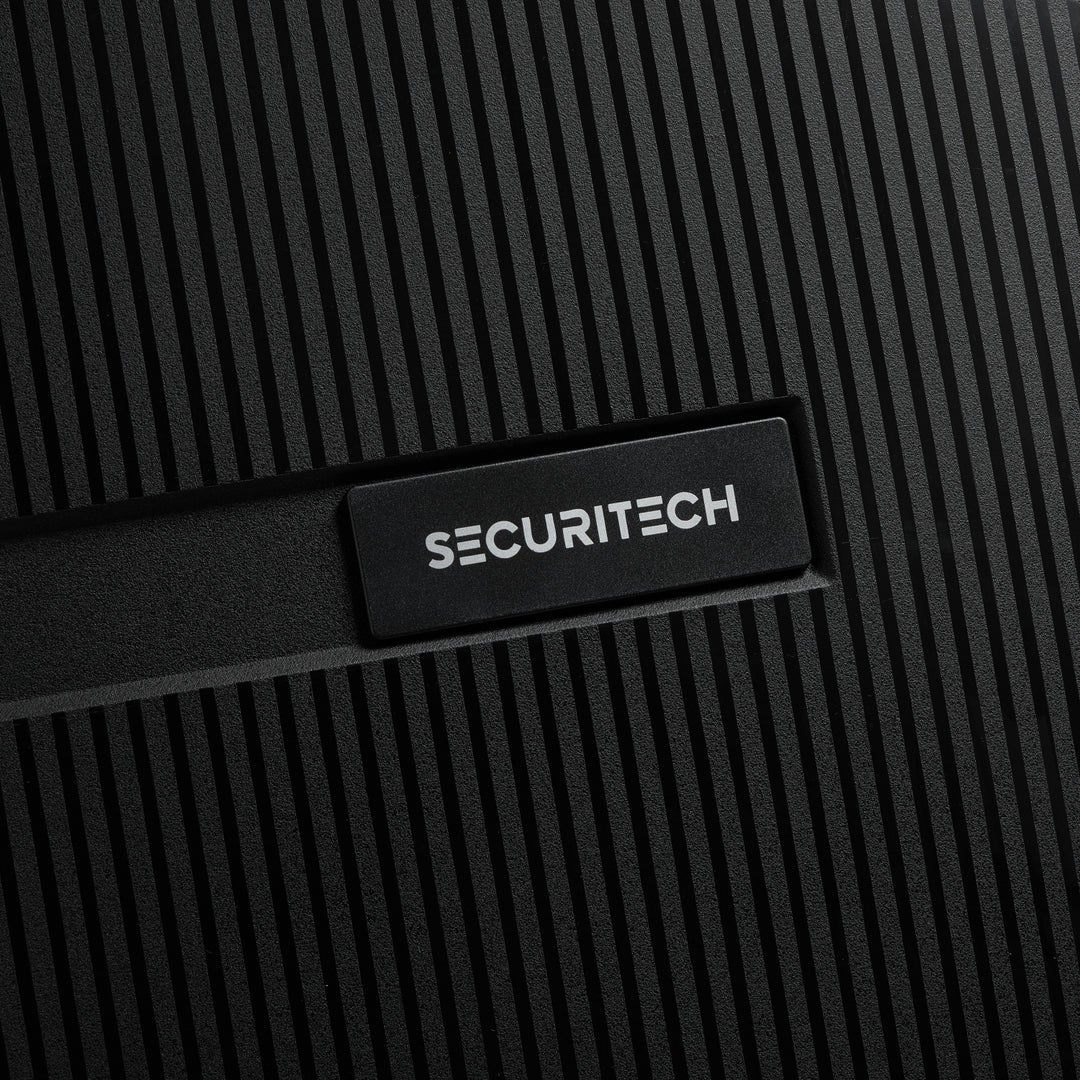 (SECURITECH BY DELSEY) 스톤 / STONE 수화물 캐리어