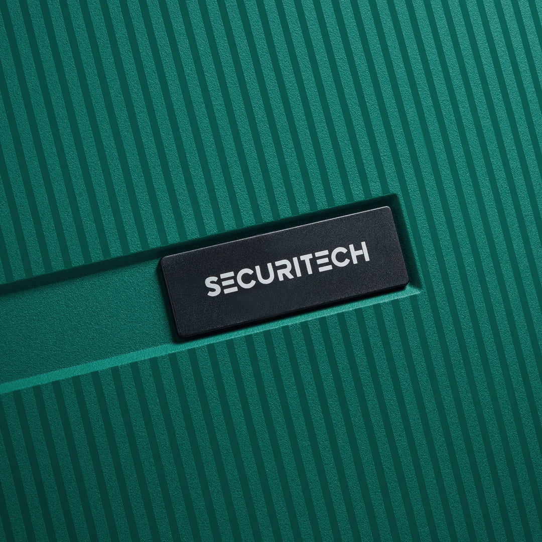 (SECURITECH BY DELSEY) 스톤 / STONE 수화물 캐리어