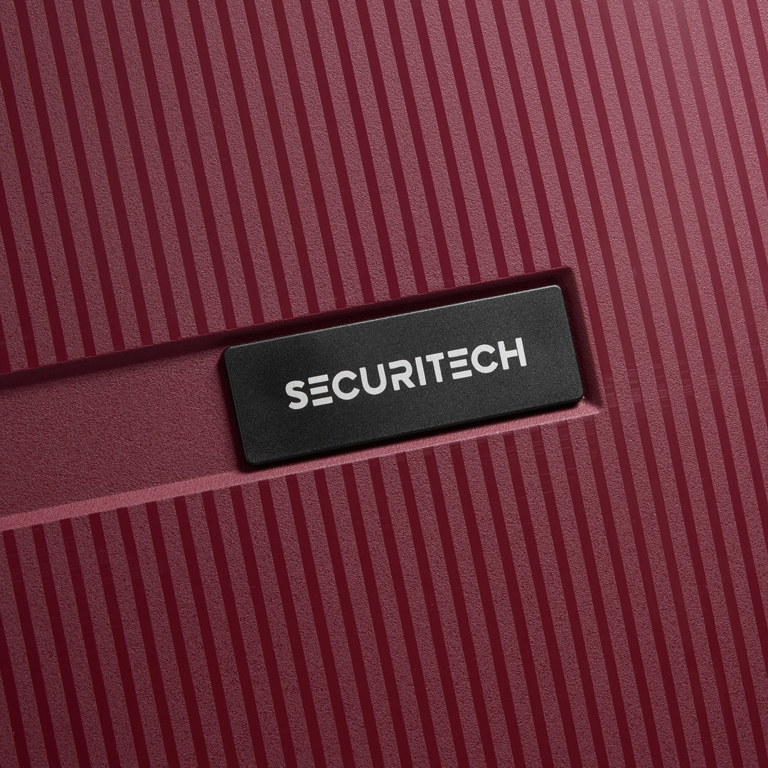 (SECURITECH BY DELSEY) 스톤 / STONE 수화물 캐리어