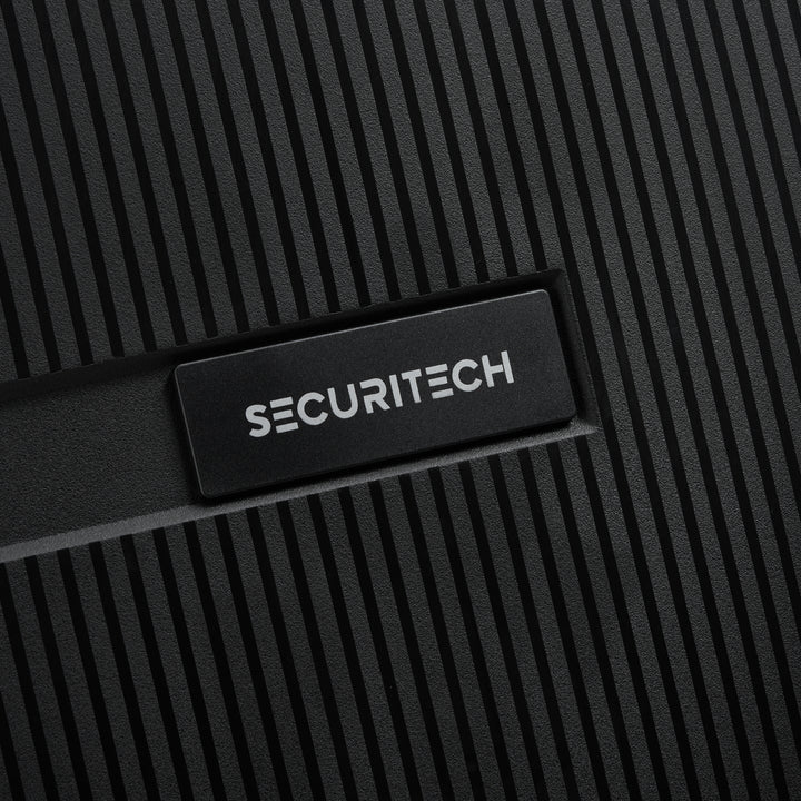 (SECURITECH BY DELSEY) 스톤 / STONE 수화물 캐리어